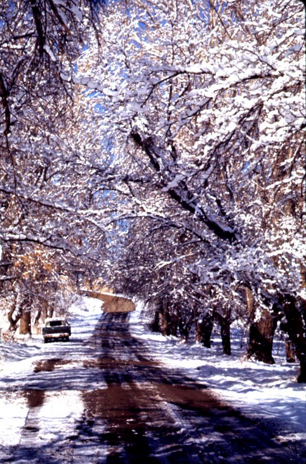 Visioin of Four Wizards - Canon Lane